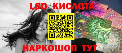 дмт Славгород