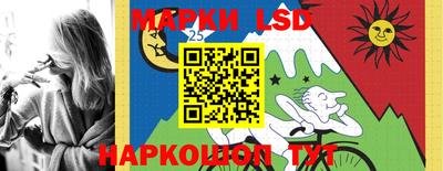 дмт Славгород