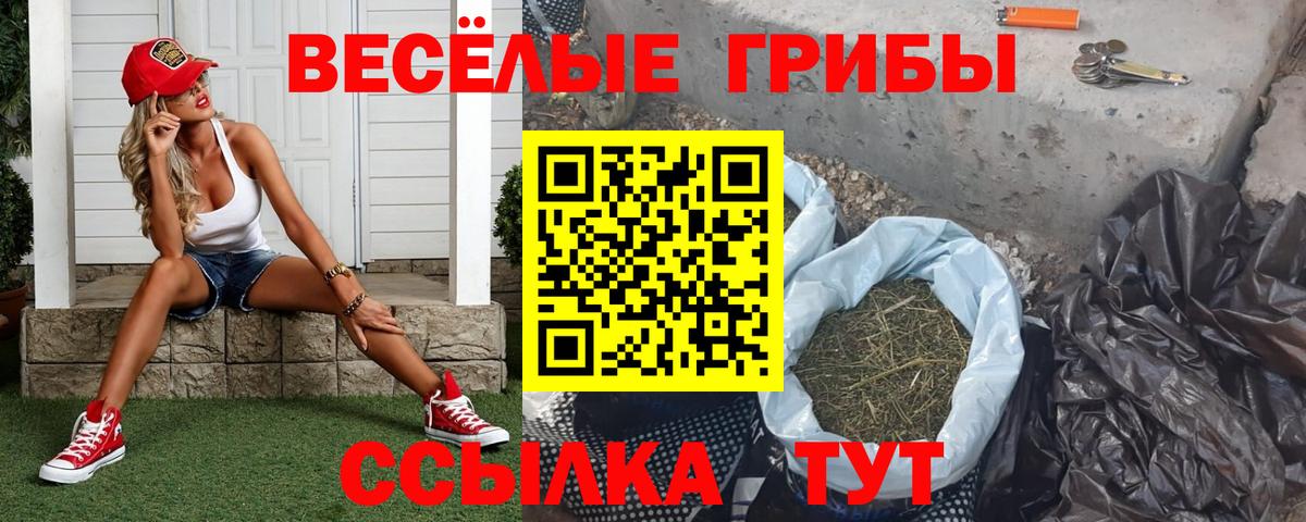 Рославль  Псилоцибиновые грибы GOLDEN TEACHER  Вход с VPN 